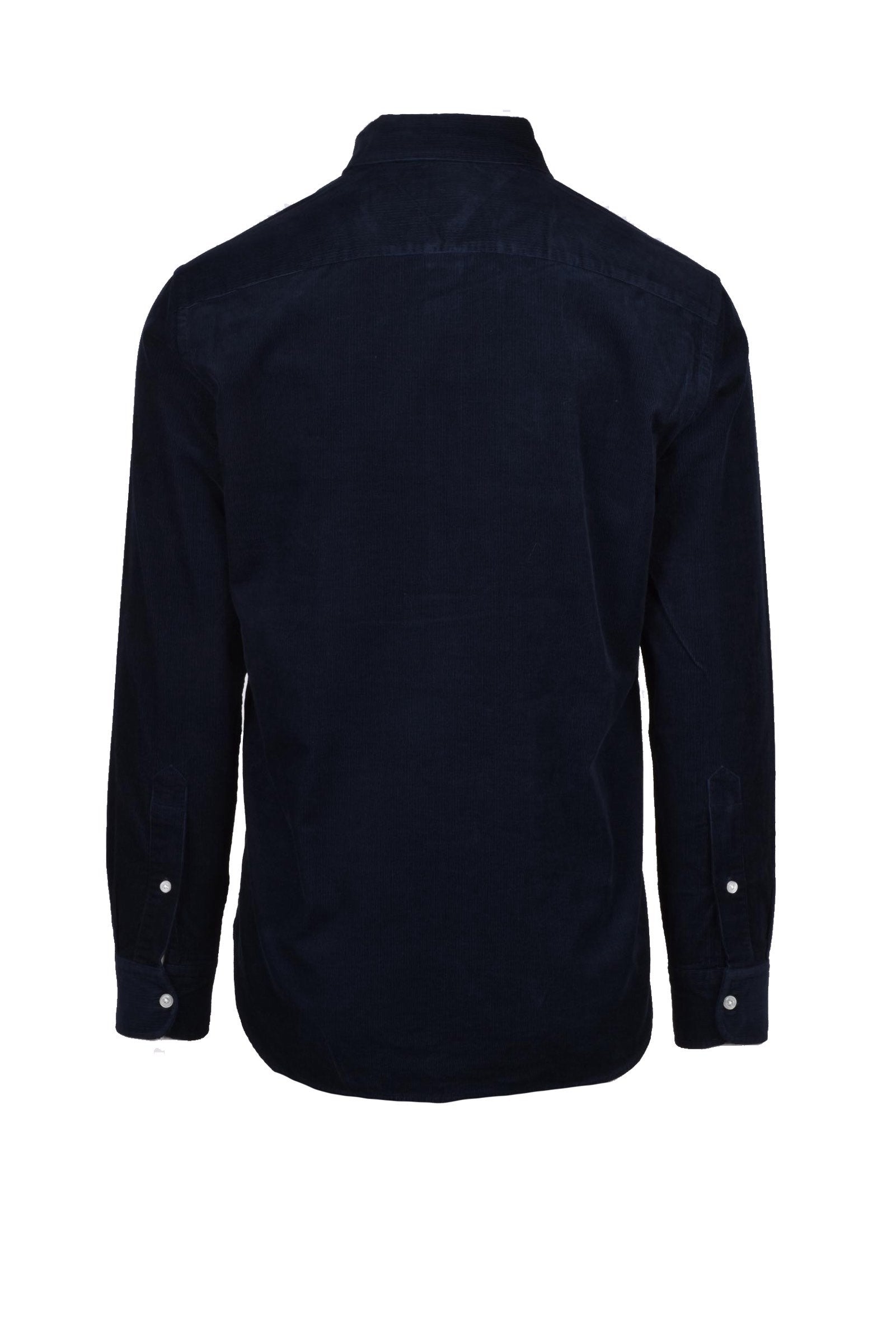 TOMMY HILFIGER - SHIRT