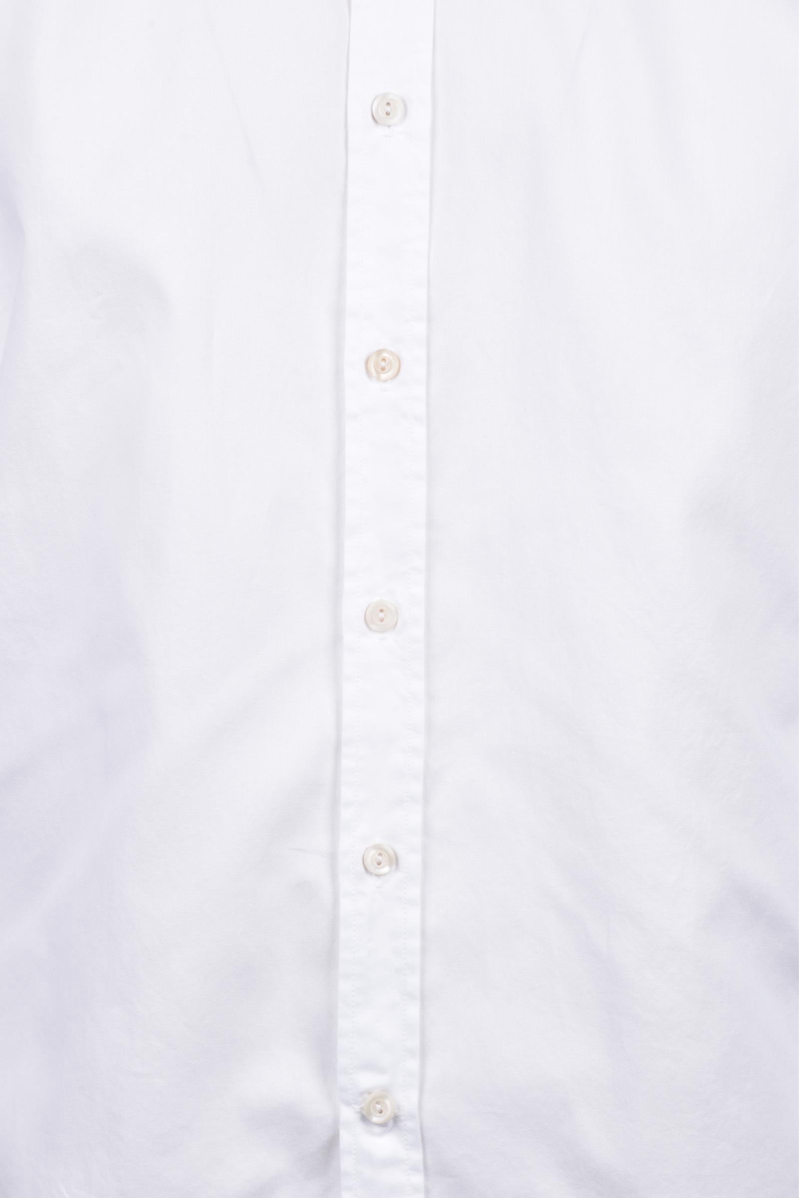 TINTORIA MATTEI 954 - SHIRT