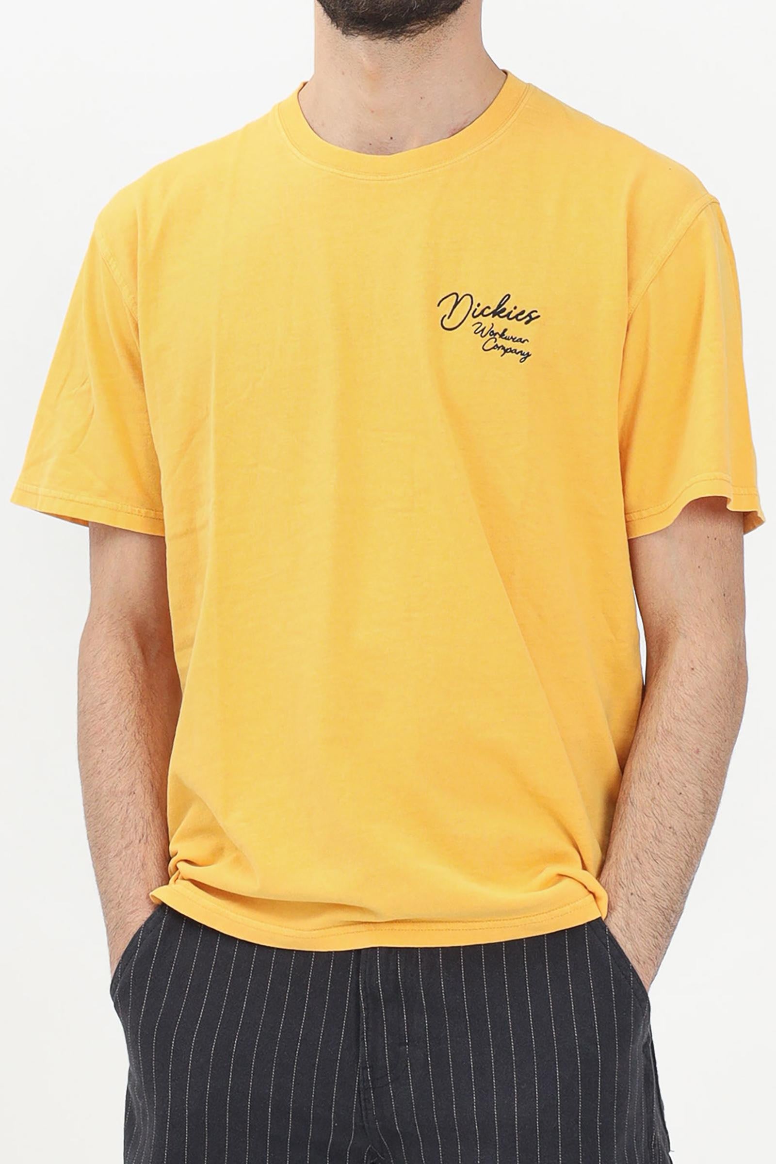 DICKIES - T-SHIRT AND POLO