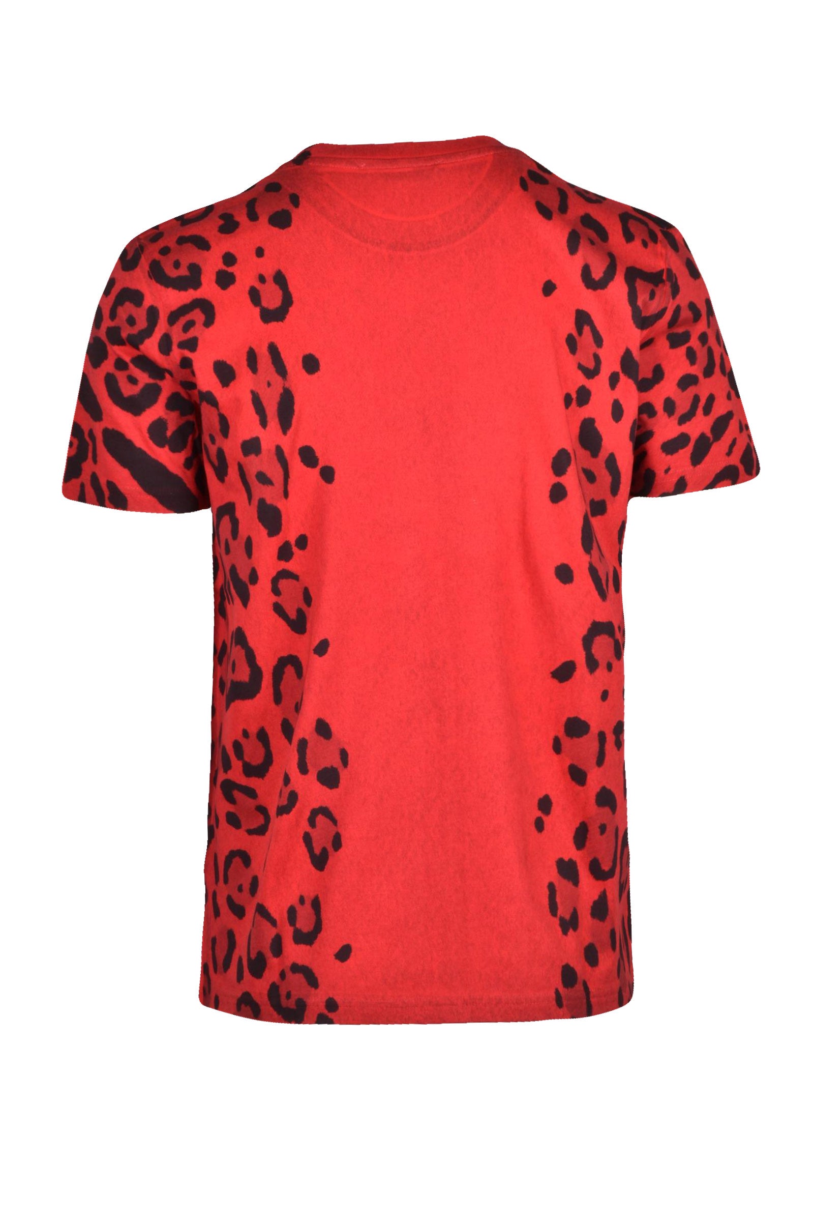 DOLCE & GABBANA - T-SHIRT AND POLO