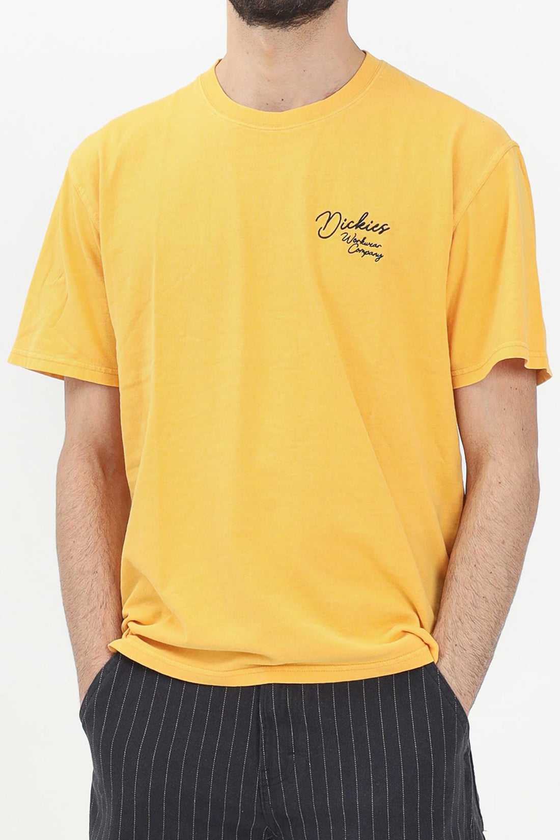 DICKIES - T-SHIRT AND POLO