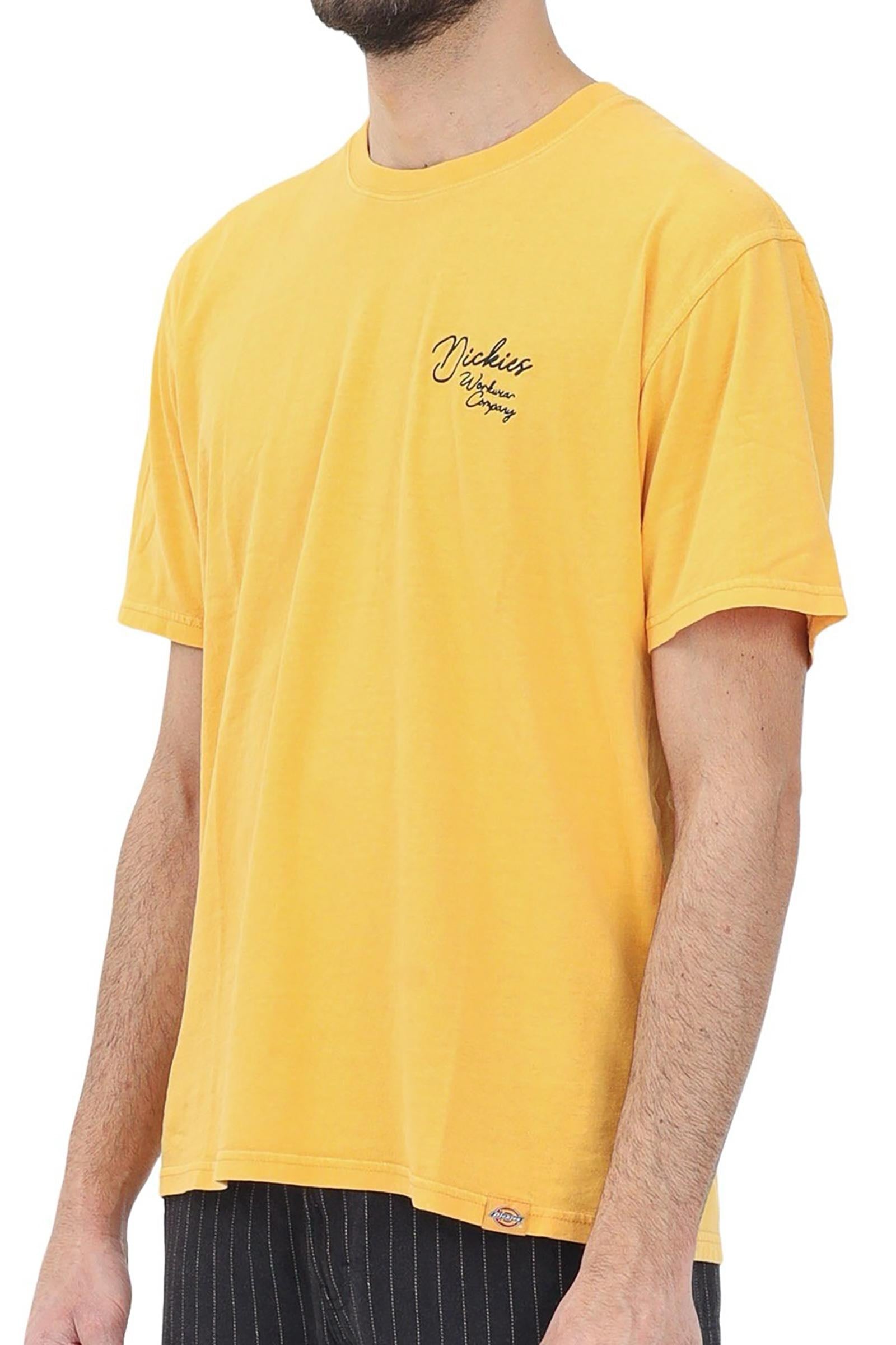 DICKIES - T-SHIRT AND POLO