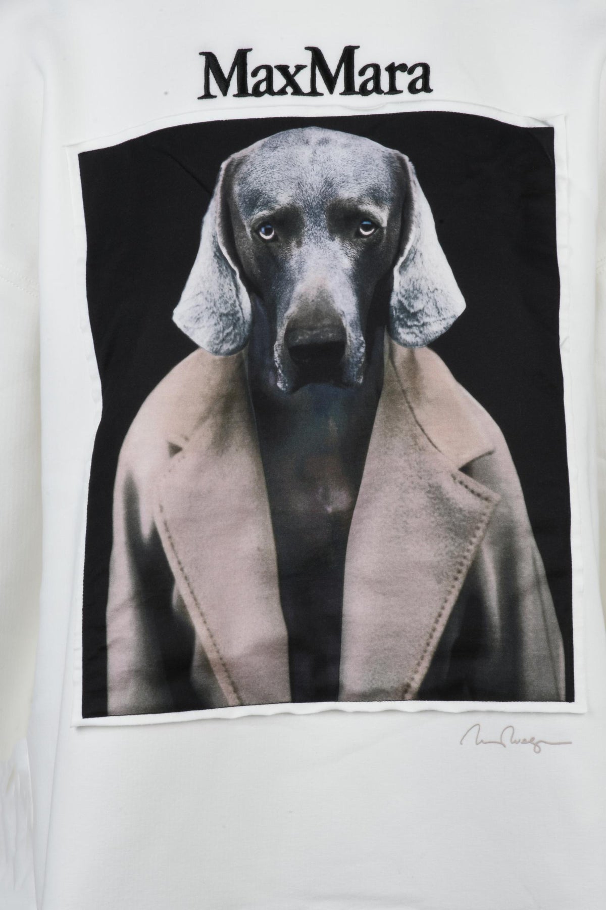MAX MARA - KNITWEAR AND SWEATSHIRTS