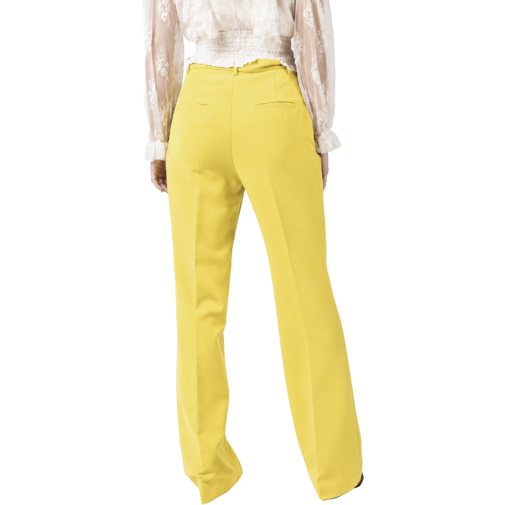Pinko PANTALONI LAURANCE GIALLI